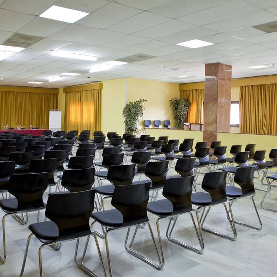 Salles de réunion Hôtel TRH Paraiso Estepona